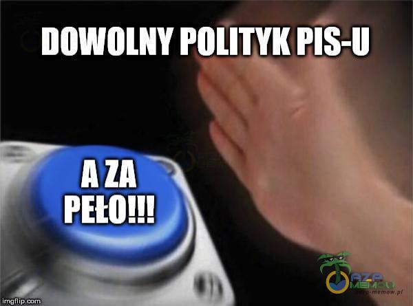 DOWOLNY POLITYK PIS-U PRO!!! irngfl ip