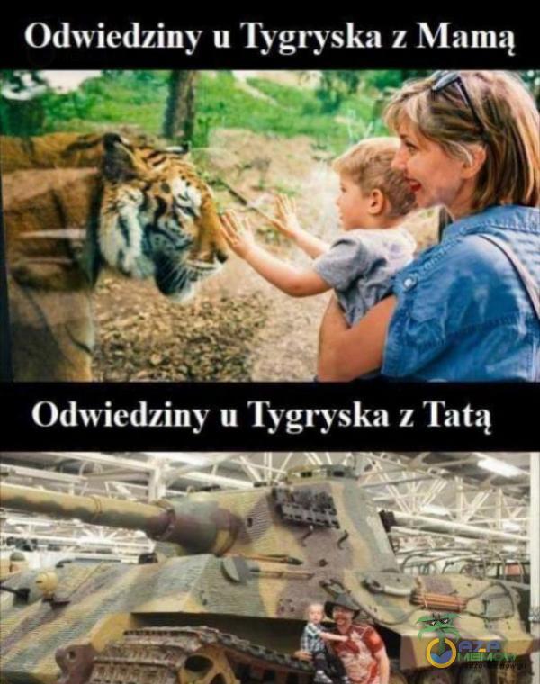 Odwiedziny u Tygryska z Mamą Odwiedziny u Tygryska z Tatą