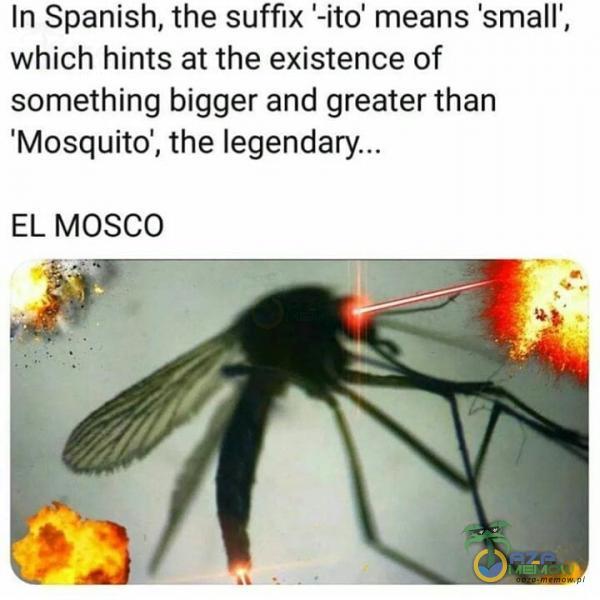 In Spanish, the suffix -ito means smalľ, which hints at the existence of something bigger and greater than Mosquito , the EL MOSCO