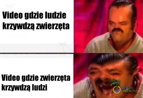 Codziennie tylko śmieszne memy, pasty, gify, suchary i filmy - przeglądaj, komentuj, dodawaj własne!