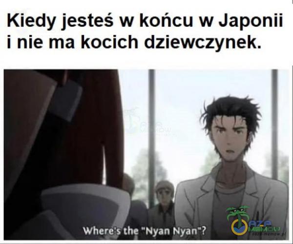 Kiedy jesteś w końcu w Japonii i nie ma kocich dziewczynek. Where s the ”Nyan Nyan ?