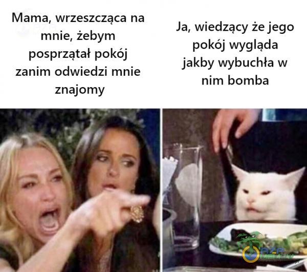 Mama, wrzeszcząca na mnie, żebym posprzątał pokaj zanim odwiedzi mnie znajomy Ja,wiedzący że jego pokój wygląda jakby wybuchła w nim bomba