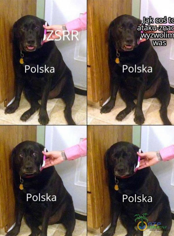 Polska Polska Jak GOŚ tc wyzwolim was Polska Polska