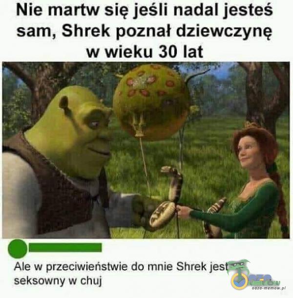 Nie martw się jeśli nadal jesteś sam, Shrek poznał dziewczynę w wieku 30 lat Ale w przeciwieństwie do mnie Shrek jest seksowny w c**j