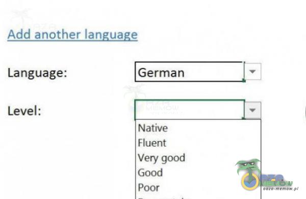 Add another language Language: Level: German Native Fluent Very good Poor