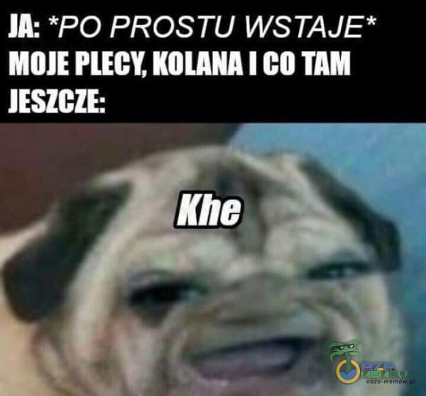 JA: *PO PROSTU WSTAJE* MOJE PLECY, KOLANA I CO TAM JESZCZE: