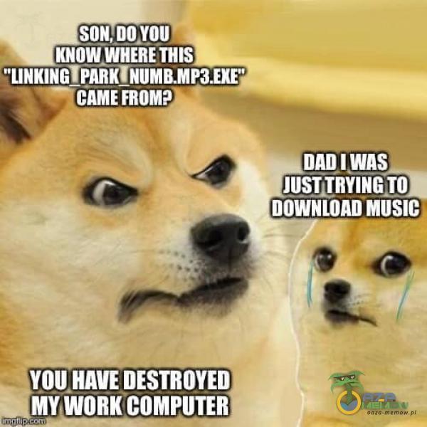 SON, KNOW WHERE THis DADIWAS JUSTITRYINGTO DOWNLOAD YOU HAVE DESTROYED MY WORK COMPUTER