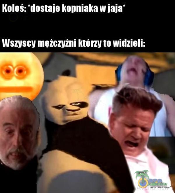 Codziennie tylko śmieszne memy, pasty, gify, suchary i filmy - przeglądaj, komentuj, dodawaj własne!