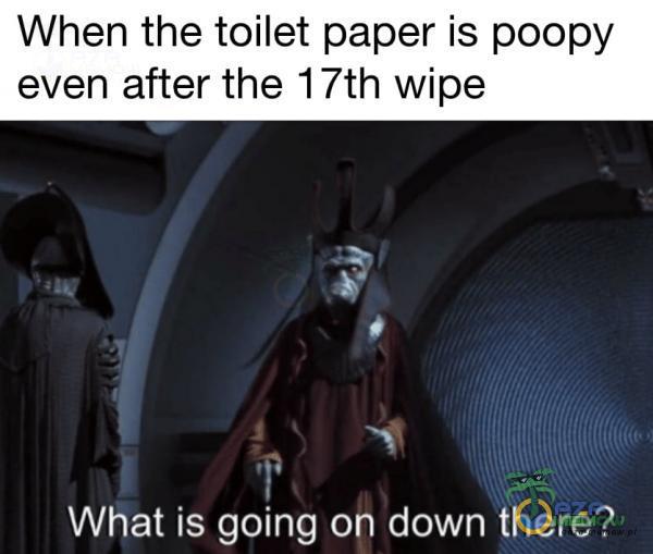 When the toilet paper is poopy even after the 17th wipe What is going on down there?