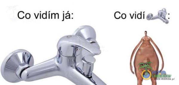 Co vidim jâ: Co vidi