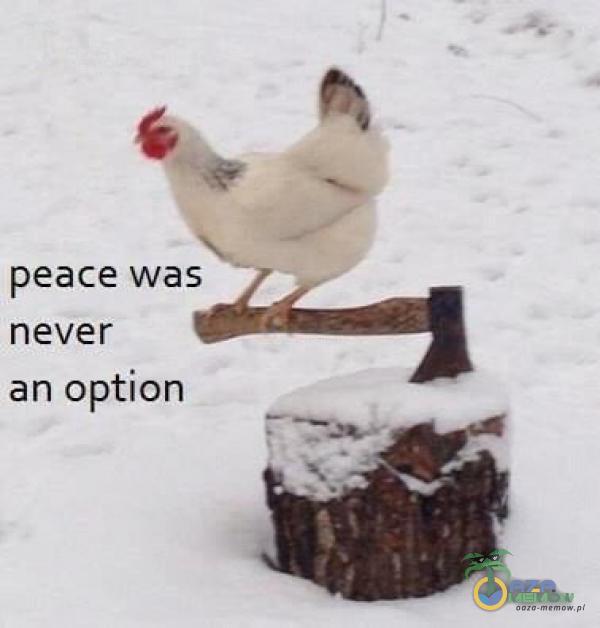peace was never an option