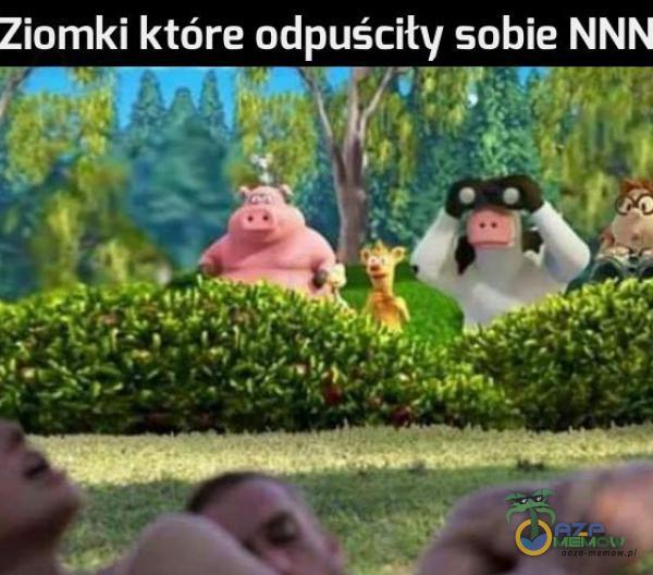 Ziomki które odpuściły sobie NNN