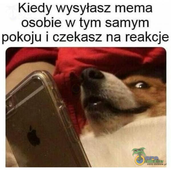 Kiedy wysyłasz mema osobie w tym samym pokoju i czekasz na reakcje