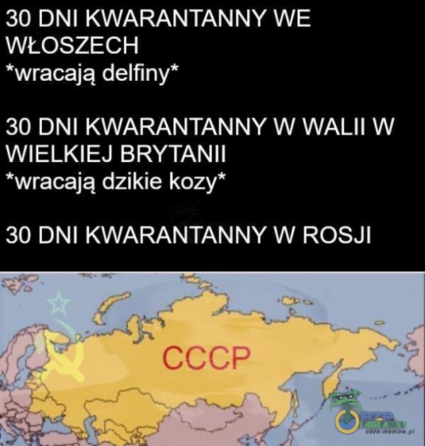 30. DNI KWARANTANNY WE do SYAE z) *wracają delfiny” 30 DNI KWARANTANNY W WALII W WIELKIEJ BRYTANII swracają dzikie kozy* 30 DNI KWARANTANNY W ROSJI