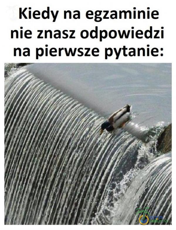 Kiedy na egzaminie nie znasz odpowiedzi na pierwsze pytanie: