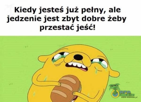 Kiedy jesteś już pełny, ale jedzenie jest zbyt dobre żeby przestać jeść!