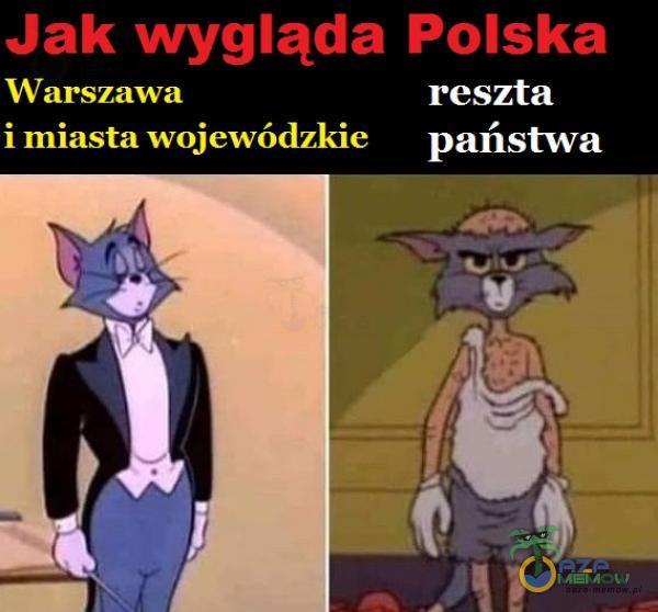 jak wygląda Polska ZZ reszta a wojewódzkie państwa