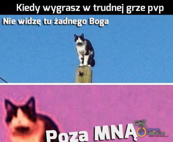 Kiedy wygrasz w trudne] grze pvp RLL L Luu; LL- Łza: Łza % i i; - „ a”—._ ma