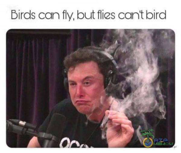 Birds can fly, but flies cant bird