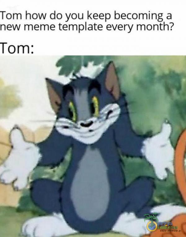 Tom how do you keep being a new meme temate every month? Tom: