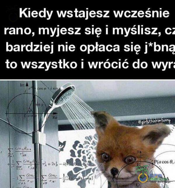 Kiedy wstajesz wcześnie rano, myjesz się i myślisz, c; bardziej nie opłaca się j*bną to wszystko i wrócić do wyr;