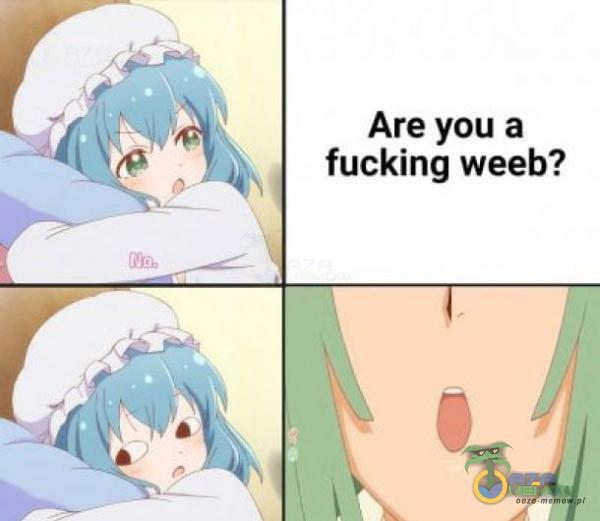 Are you a fucking weeb?