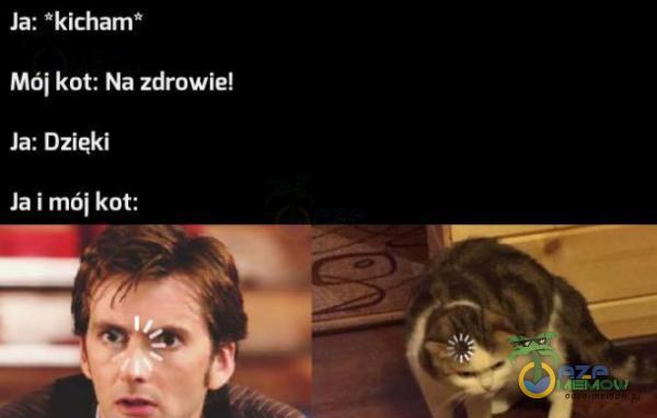 la: kicham Mńi kot: Na :dmwia Jm Oziąki