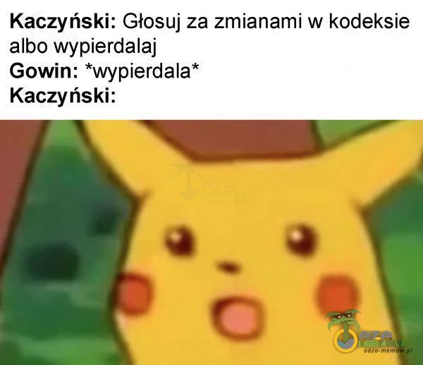 Kaczyński: Głosuj za zmianami w kodeksie albo wypi***alaj Gowin: *wyp***dala* Kaczyński: