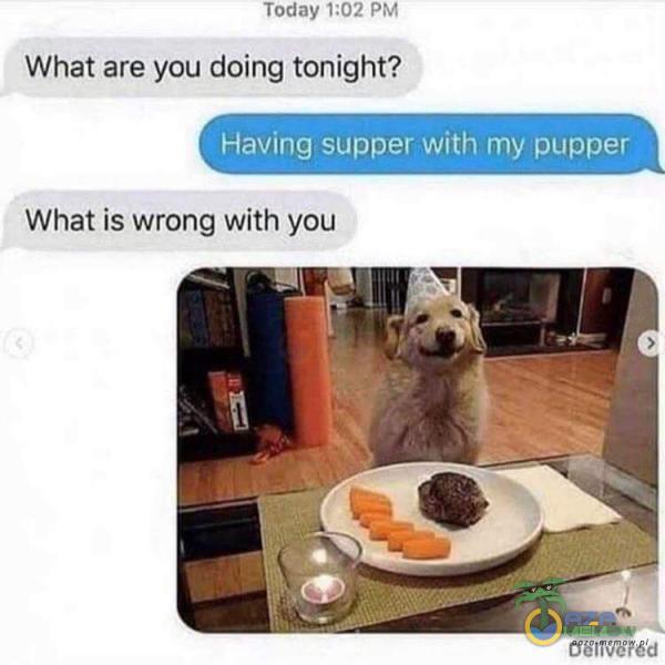 Today 1•.02 PM What are you doing tonight? Having supper with my pupper What is wrong with you Delivered