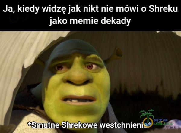 Ja, kiedy widzę jak nikt nie mówi o Shreku jako memie dekady *Smutne Shrekowe westchnienie*