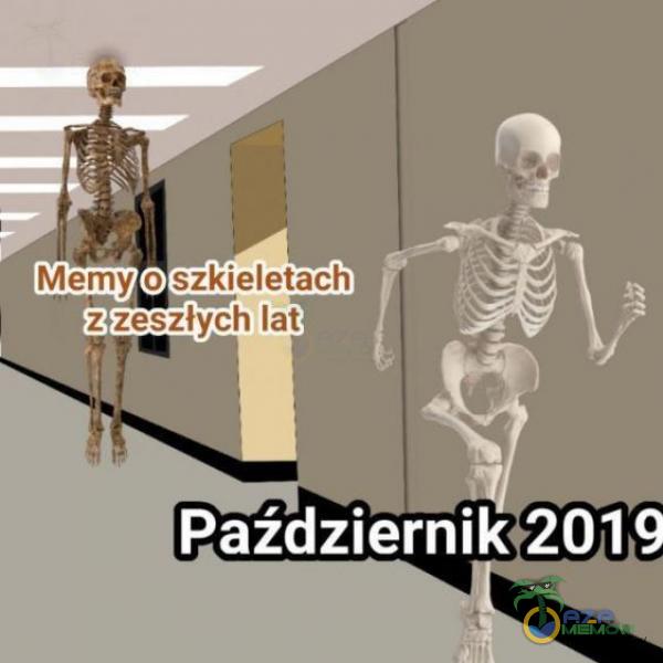 Memy o szkieletach z zeszłych lat Październik 2019