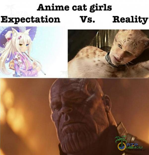 Anime cat girls Expectation Vs.