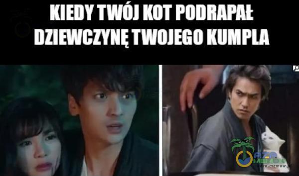 KIEDY TWOJ KOT PODRAP DZIEWCZYNĘ TWOJEGO KUMPLA