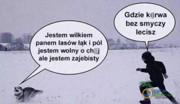 Codziennie tylko śmieszne memy, pasty, gify, suchary i filmy - przeglądaj, komentuj, dodawaj własne!