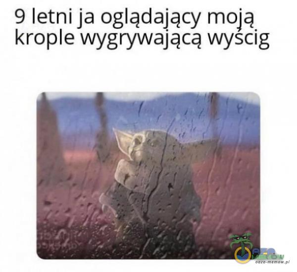 Codziennie tylko śmieszne memy, pasty, gify, suchary i filmy - przeglądaj, komentuj, dodawaj własne!