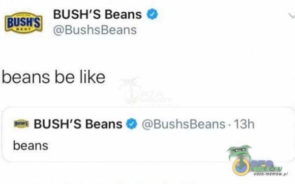 BUSH S Beans O BushsBeans beans be like O BushsBeans • 13h BUSH S Beans beans