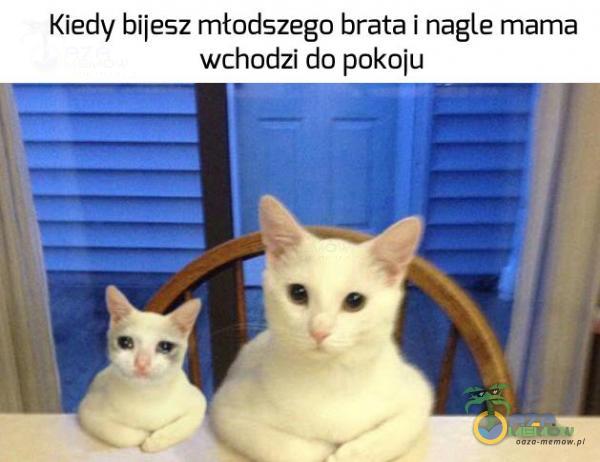 Codziennie tylko śmieszne memy, pasty, gify, suchary i filmy - przeglądaj, komentuj, dodawaj własne!