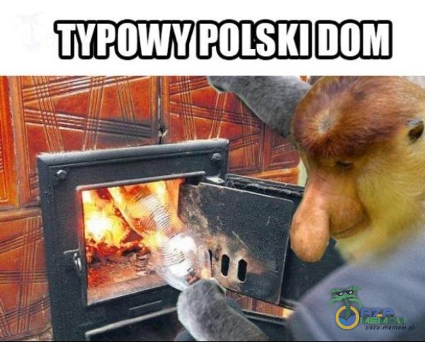 TYPOWY POLSKI DOM