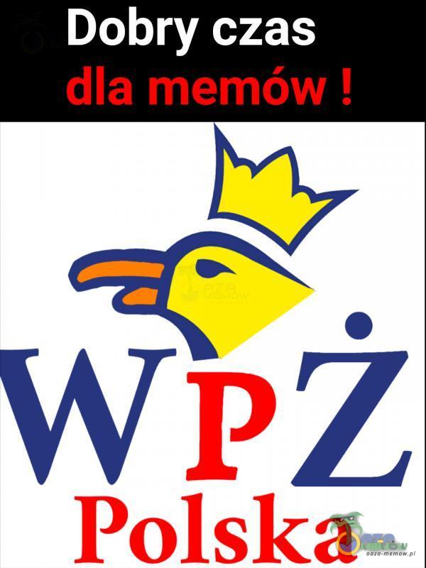 Dobry czas dla memów ! wpż Polska