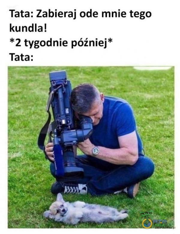 Tata: Zabieraj ode mnie tego kundla! *2 tygodnie później*