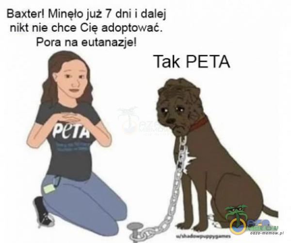 Baxter! Mineło już 7 dni i dalej nikt nie chce Cię adoptować. Pora ma eutanazje! Tak PETA