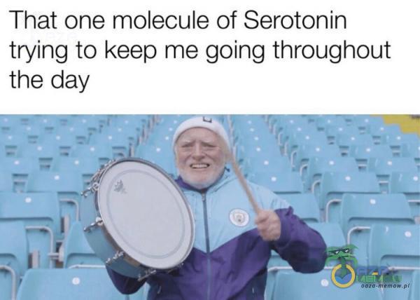 That one molecule of Serotonin trying to keep me going throughout tne day