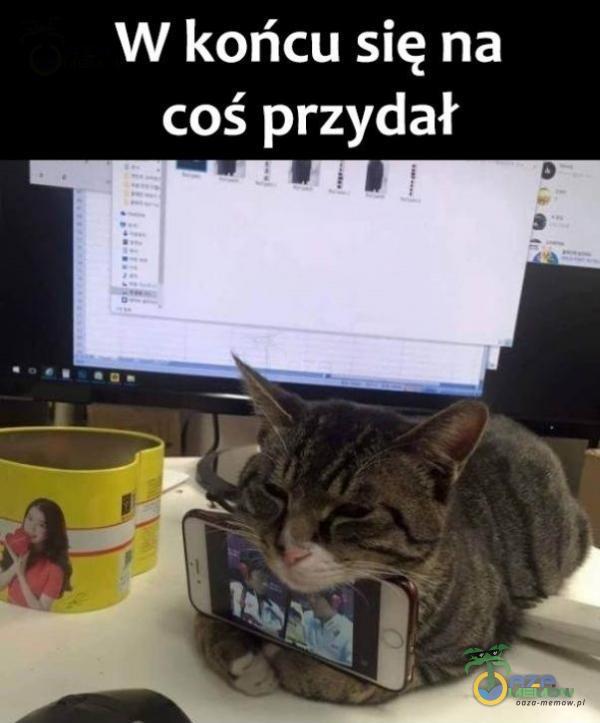 W końcu się na coś przydał