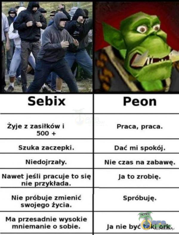  Sebix Zyje z zasiłków i 500 + Szuka zaczepki. Niedojrzały. Nawet jeśli pracuje to się nie rz kłada. Nie próbuje zmienić swojego życia. Ma przesadnie wysokie mniemanie o sobie. Peon Praca, praca. Dać mi spokój. Nie czas na zabawę. Ja to...