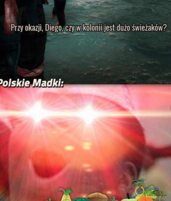 Przy okazji, Diego,ciYMfilonii jest dużo świeżakówł olskie adkl: