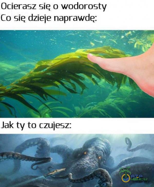 Ocierasz się a wodorosty Co się dzieje naprawdę: