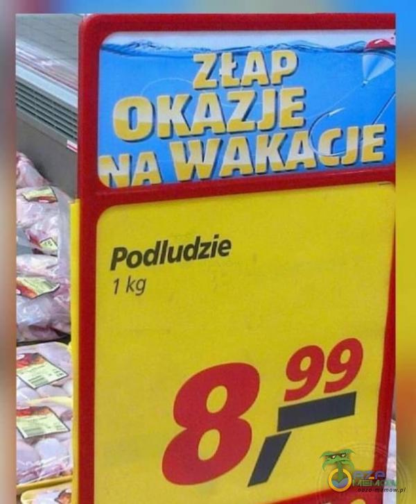 OKAZJE A WAKACJE Podludzie