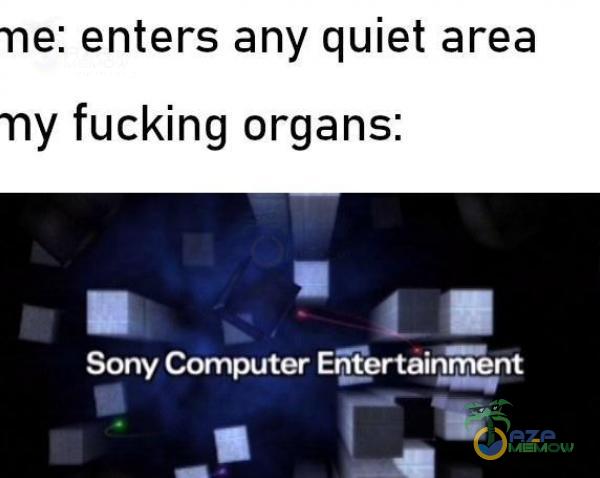 enters any quiet area fucking organs: 1 Sony Computer Epțprtainment