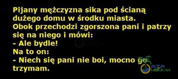 Pijany mężczyzna sika pod ścianą dużego domu w środku miasta. Obok przechodzi zgorszona pani i patrzy się na niego i mówi: - Ale bydle! Na to on: - Niech się pani nie boi, mocno go trzymam.