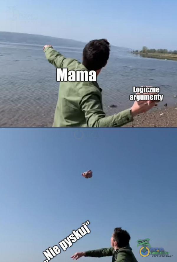 Mama lodiczne arjuînenty